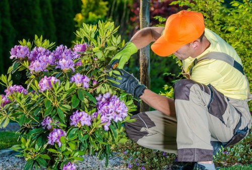 Workers loading garden waste into a van