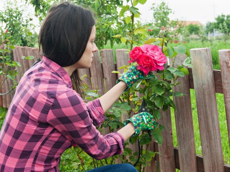 Volunteers working in a neighborhood garden in Norbiton, inclusive activity