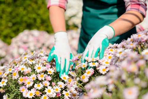Team member starting garden maintenance with protective gloves and tools